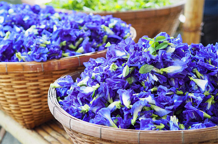 Butterfly Pea Flower Infused Honey - Image 2